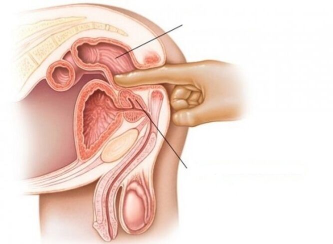 male g-spot stimulation