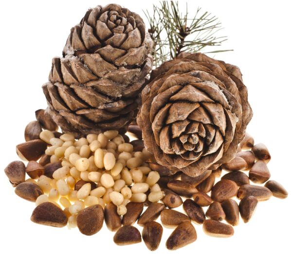 The use of pine nuts helps to solve potential problems